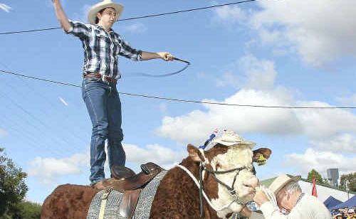 Patrick O’Leary cracks his whip standing on Happy Hank, the bull, at the Goomeri Pumpkin Festival. Patrick’s father Hilary holds on the beast. Patrick O’Leary cracks his whip standing on Happy Hank, the bull, at the Goomeri Pumpkin Festival. Patrick’s father Hilary holds on the beast.